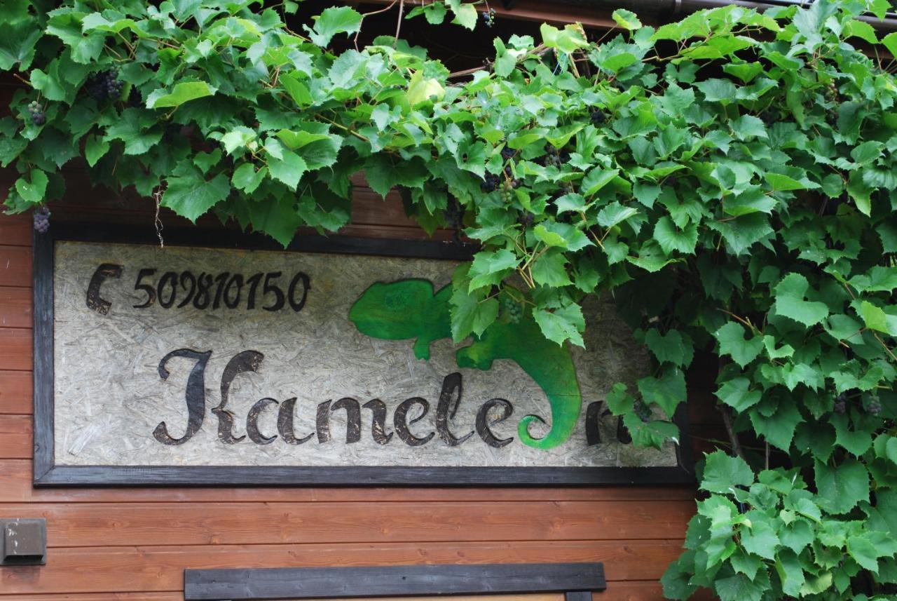 Kameleon Dzwirzyno Otel Dış mekan fotoğraf